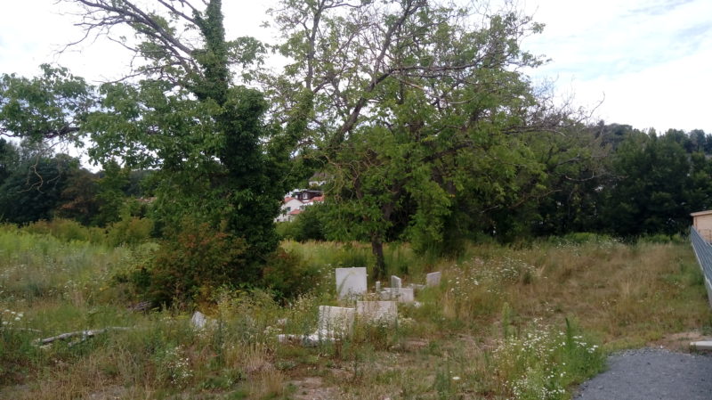 20200727_143728