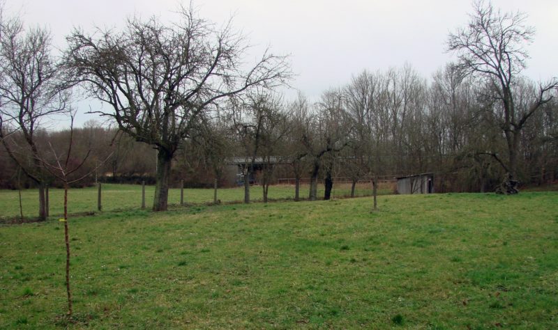 Hinter-der-Goldkaute