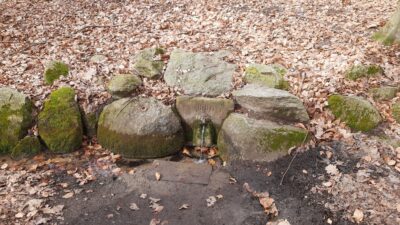 brunnen2024_borchmann