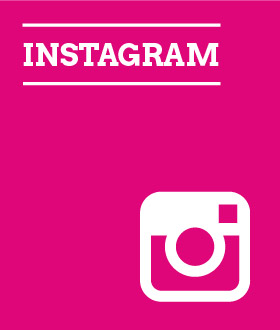 Link zum Instagram-Profil der GRÜNEN DEUTSCHLAND